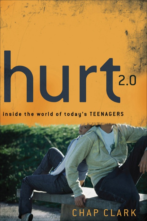 Cover image for book Hurt 2.0