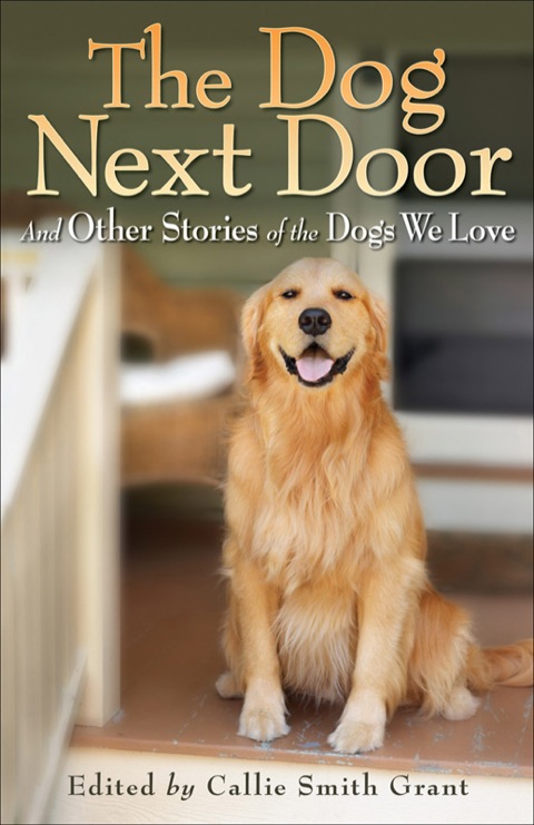 Cover image for book The Dog Next Door
