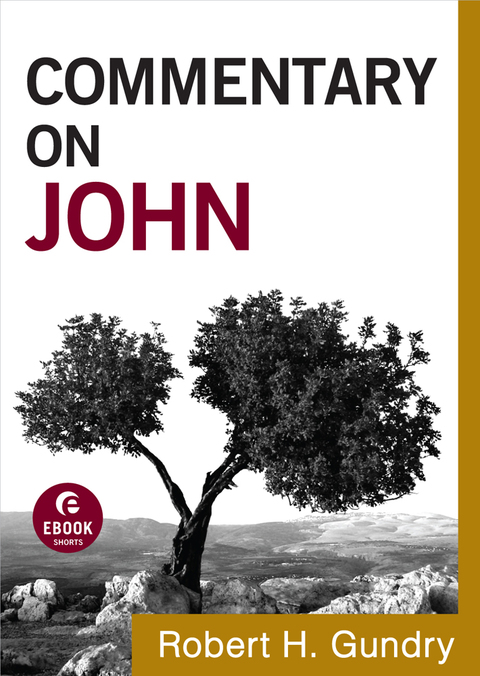 Cover image for book Commentary on John