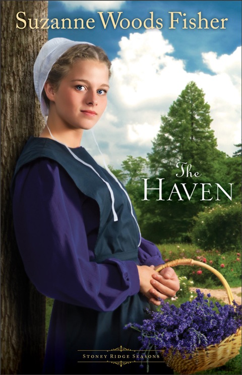 Cover image for book The Haven