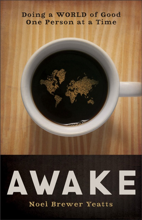 Cover image for book Awake