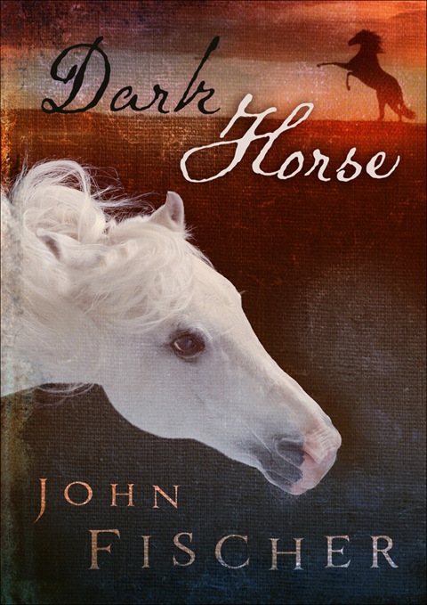 Cover image for book Dark Horse