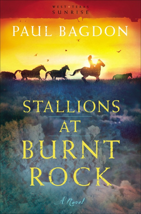 Cover image for book Stallions at Burnt Rock