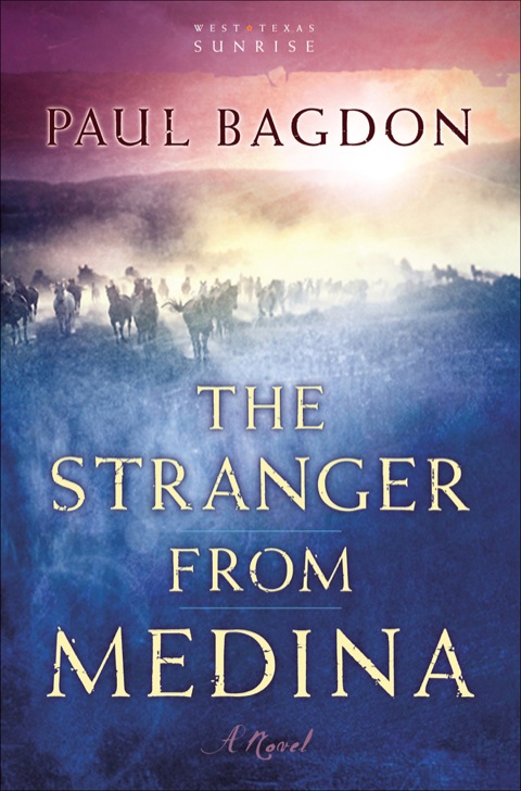 Cover image for book The Stranger from Medina