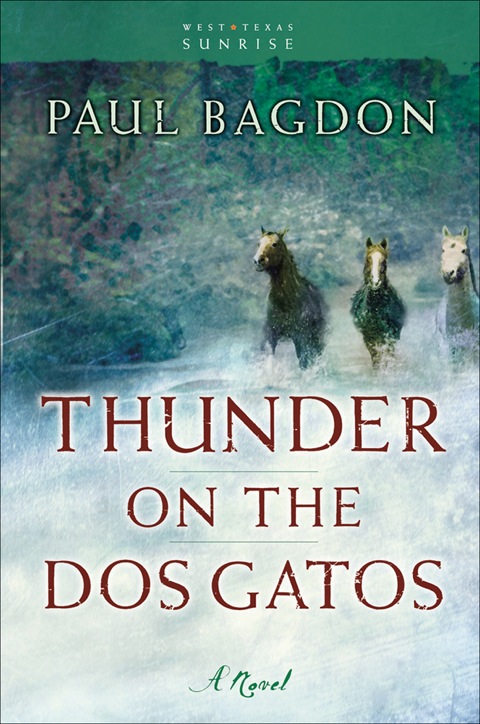 Cover image for book Thunder on the Dos Gatos