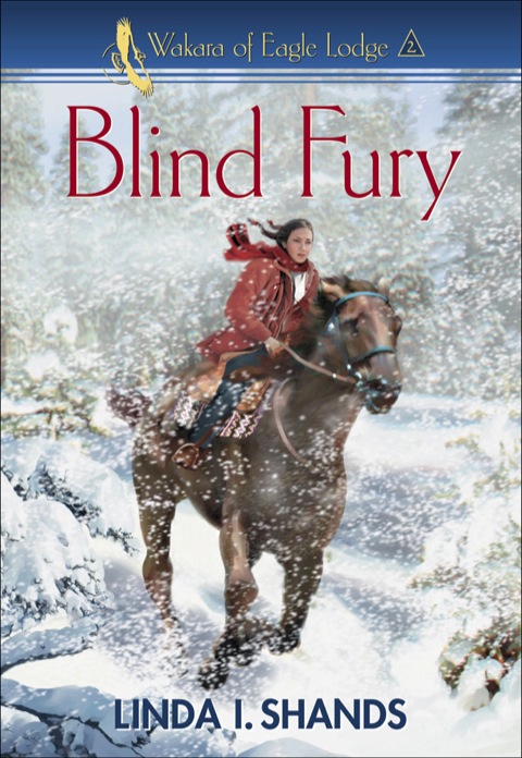 Cover image for book Blind Fury