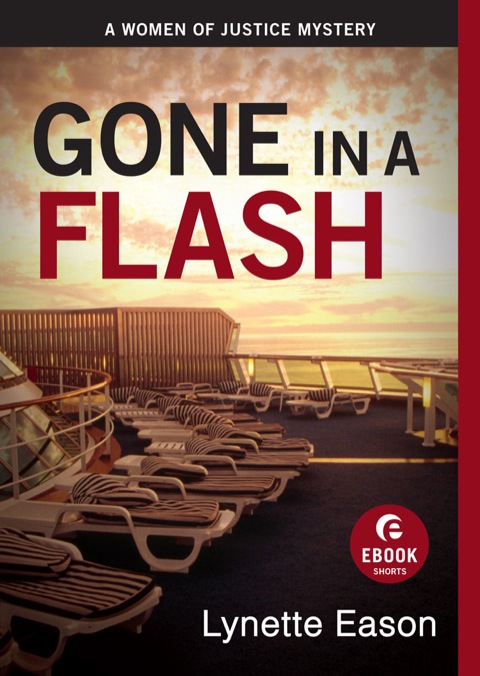Cover image for book Gone in a Flash