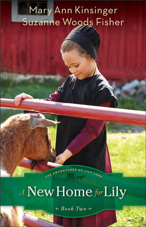 Cover image for book A New Home for Lily