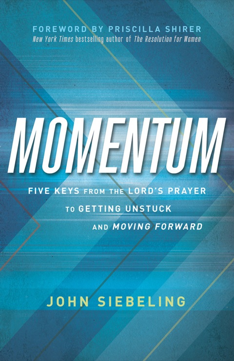 Cover image for book Momentum