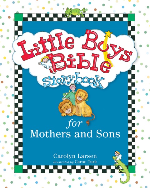 Cover image for book Little Boys Bible Storybook for Mothers and Sons