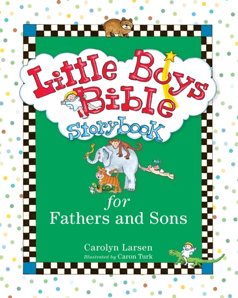 Cover image for book Little Boys Bible Storybook for Fathers and Sons