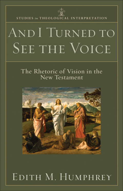 Cover image for book And I Turned to See the Voice
