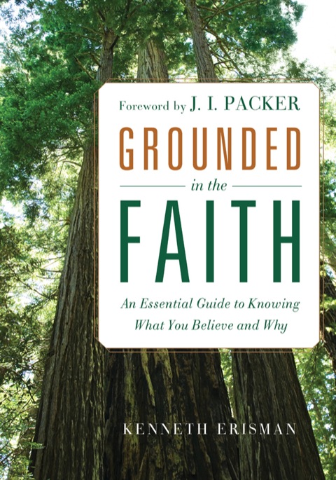 Cover image for book Grounded in the Faith