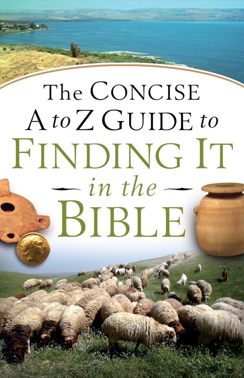 Cover image for book The Concise A to Z Guide to Finding It in the Bible