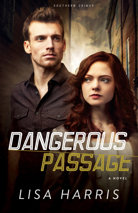 Cover image for book Dangerous Passage