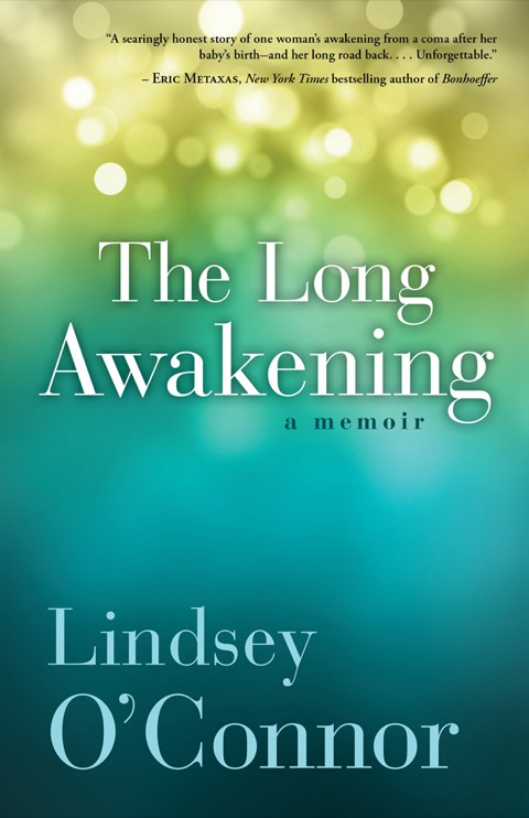 Cover image for book The Long Awakening