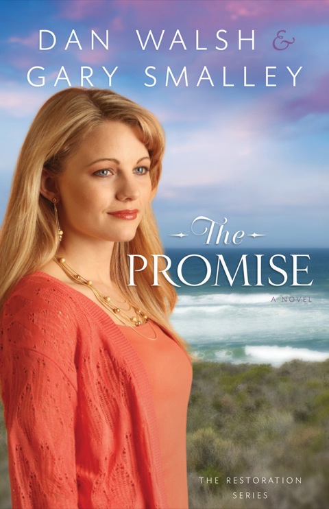 Cover image for book The Promise