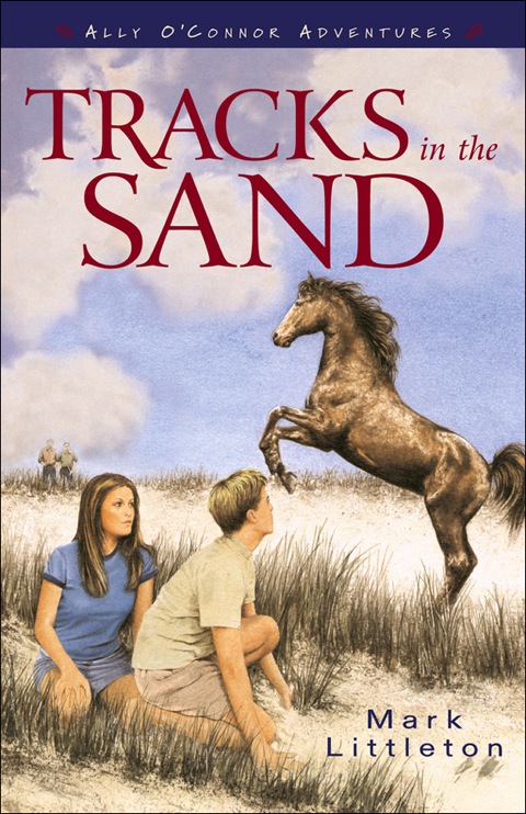 Cover image for book Tracks in the Sand