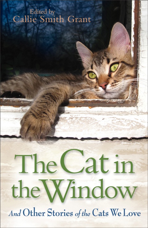 Cover image for book The Cat in the Window