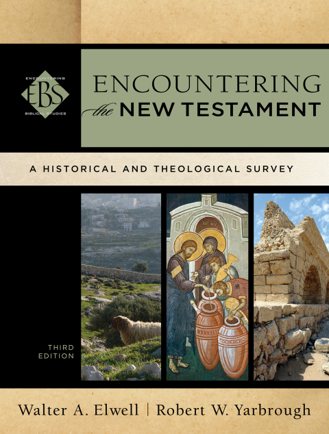 Cover image for book Encountering the New Testament