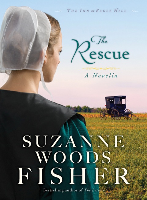Cover image for book The Rescue