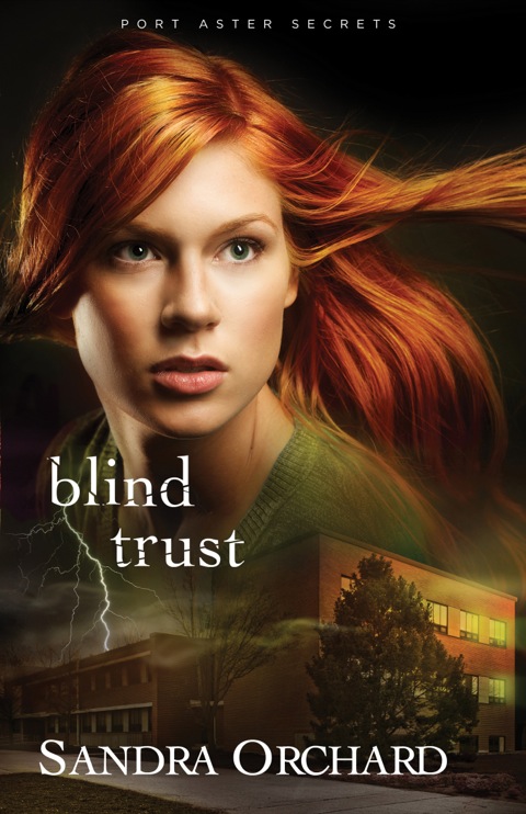 Cover image for book Blind Trust