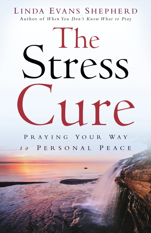 Cover image for book The Stress Cure
