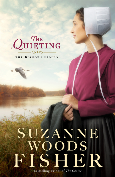Cover image for book The Quieting