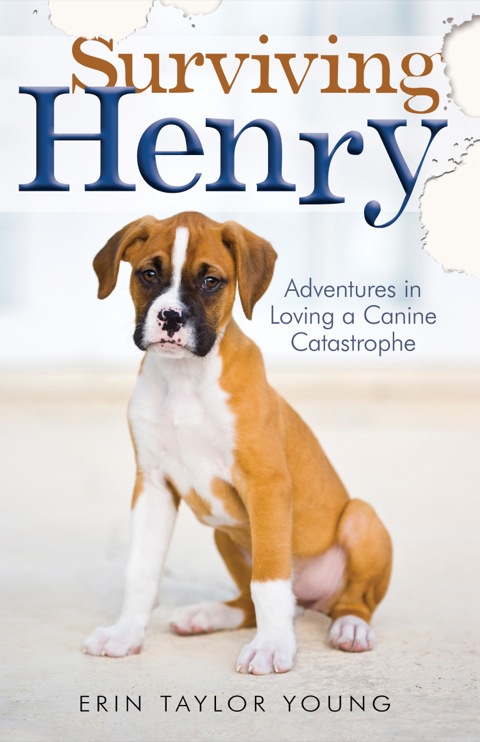 Cover image for book Surviving Henry