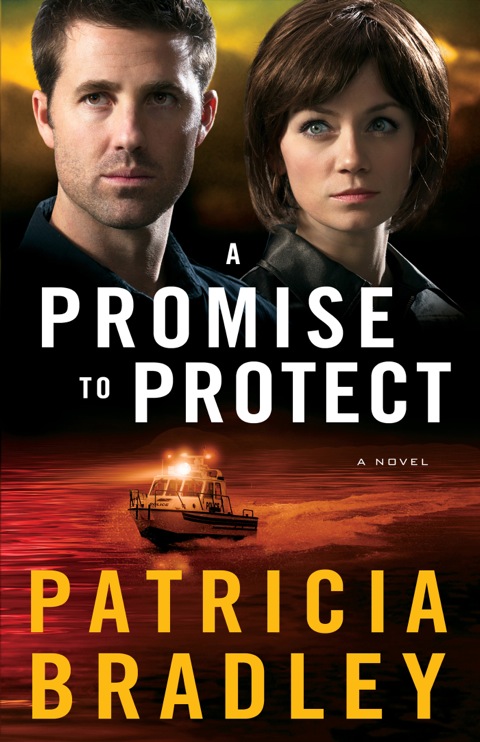 Cover image for book A Promise to Protect