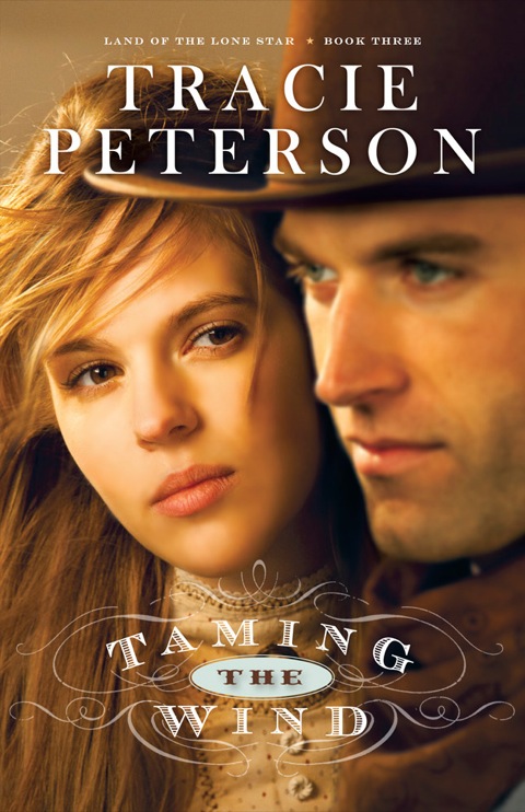 Cover image for book Taming the Wind