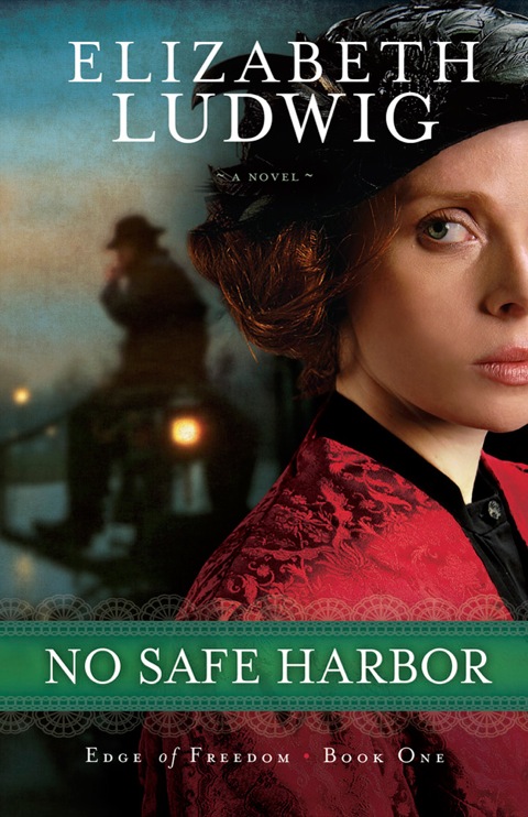 Cover image for book No Safe Harbor