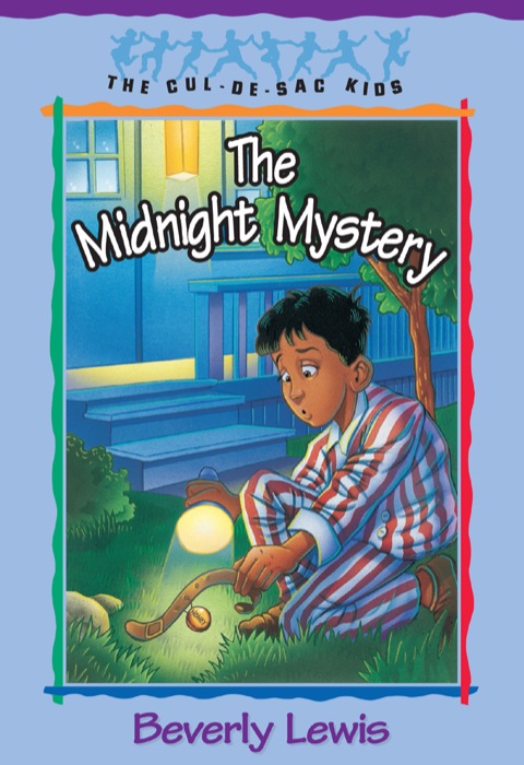 Cover image for book The Midnight Mystery