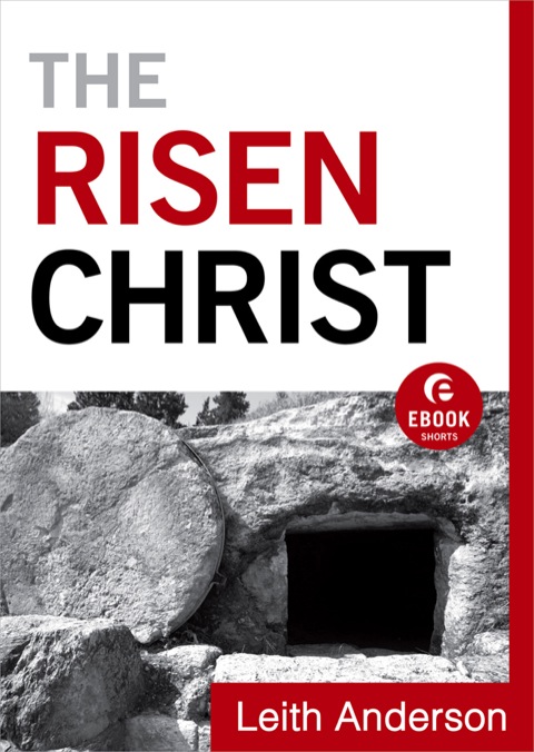 Cover image for book The Risen Christ