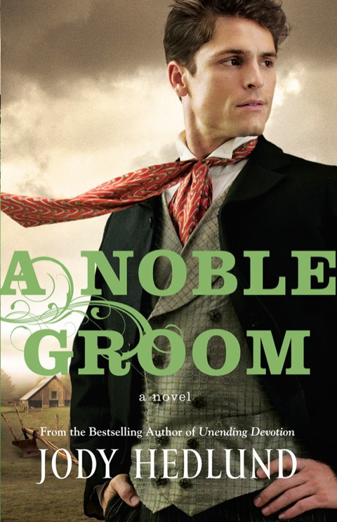 Cover image for book A Noble Groom