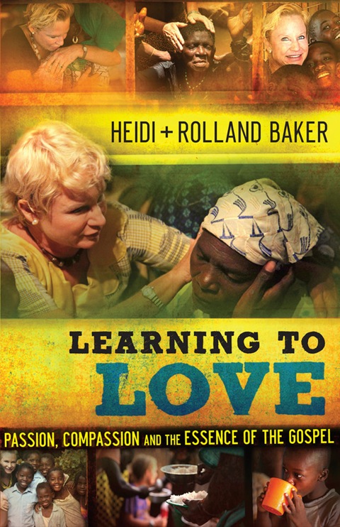 Cover image for book Learning to Love