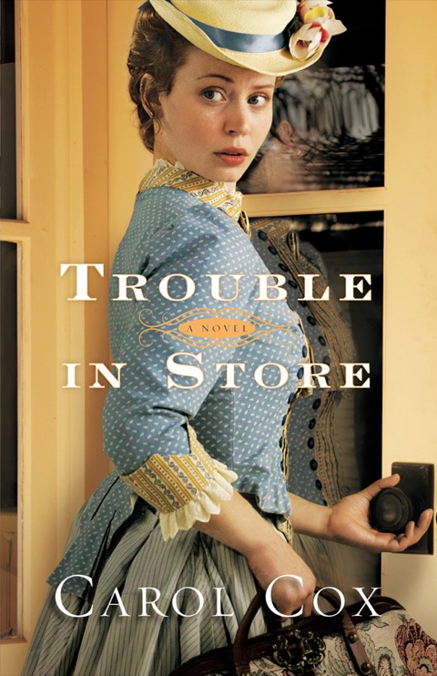 Cover image for book Trouble in Store