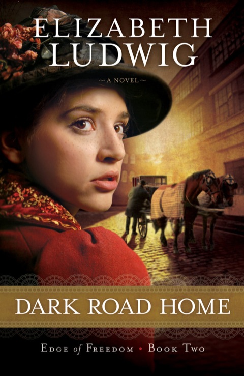 Cover image for book Dark Road Home