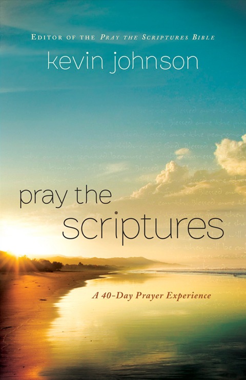 Cover image for book Pray the Scriptures