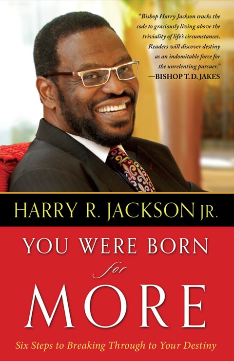 Cover image for book You Were Born for More