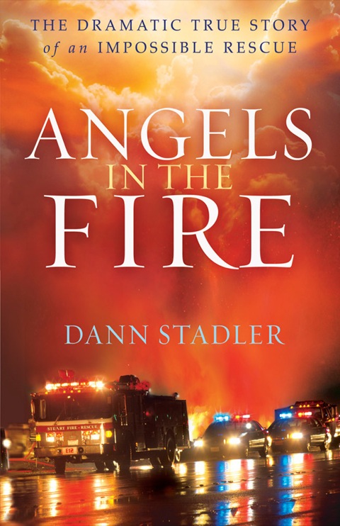 Cover image for book Angels in the Fire