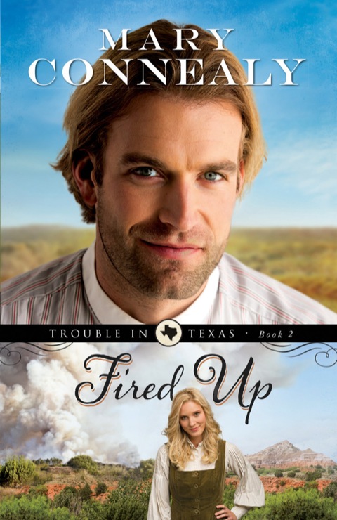 Cover image for book Fired Up
