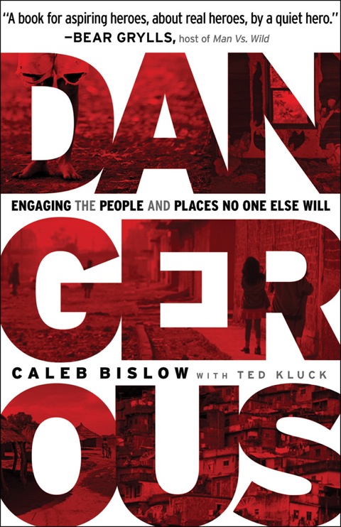 Cover image for book Dangerous