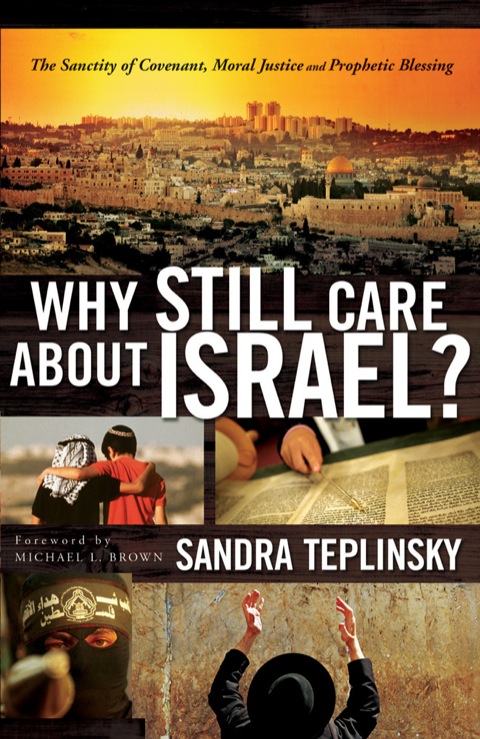 Cover image for book Why Still Care about Israel?