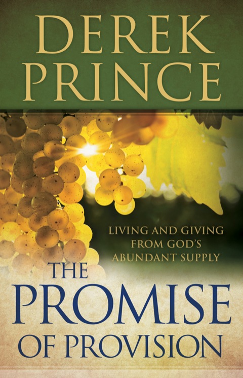 Cover image for book The Promise of Provision