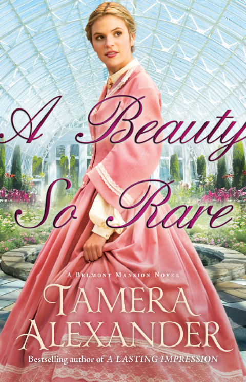 Cover image for book A Beauty So Rare