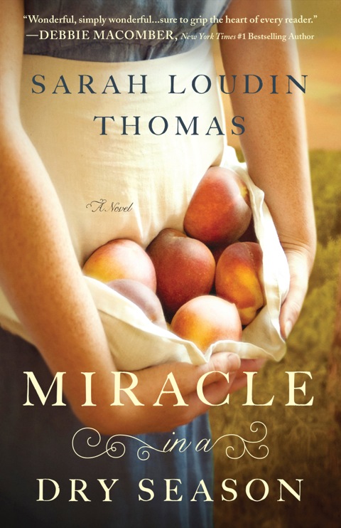 Cover image for book Miracle in a Dry Season