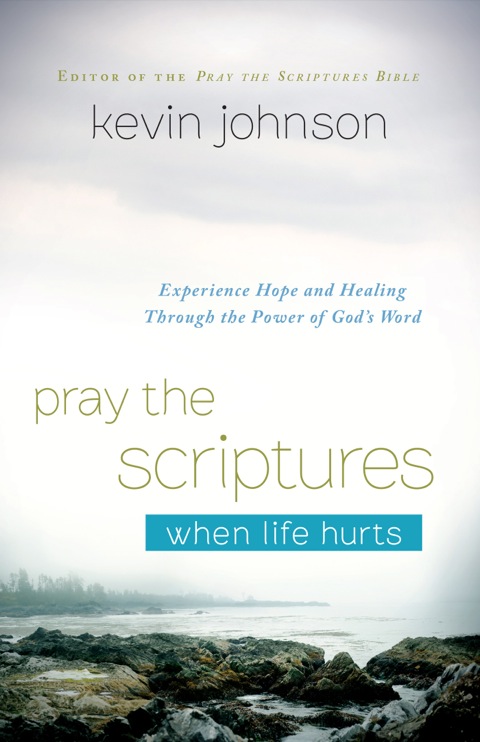 Cover image for book Pray the Scriptures When Life Hurts