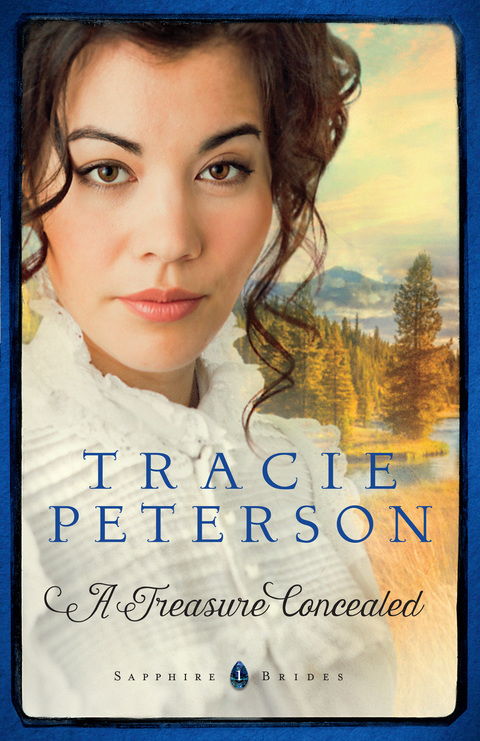 Cover image for book A Treasure Concealed