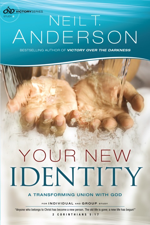 Cover image for book Your New Identity